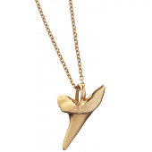 Sharks Tooth Pendant Small