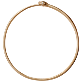 Snake Ouroboros Bangle