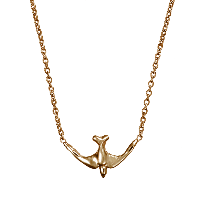 N-SwallowPend 41577-web-y_v3-90-r