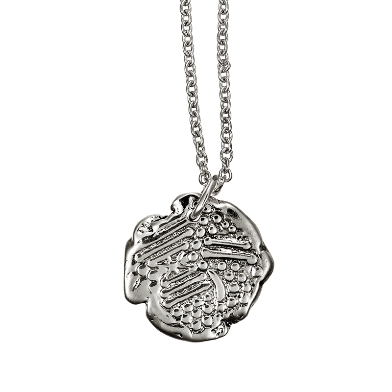 P-Coin5 41586-new-y_90-new copy