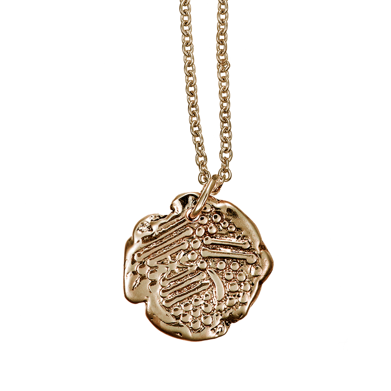 P-Coin5 41586-new-y_v2-90-r