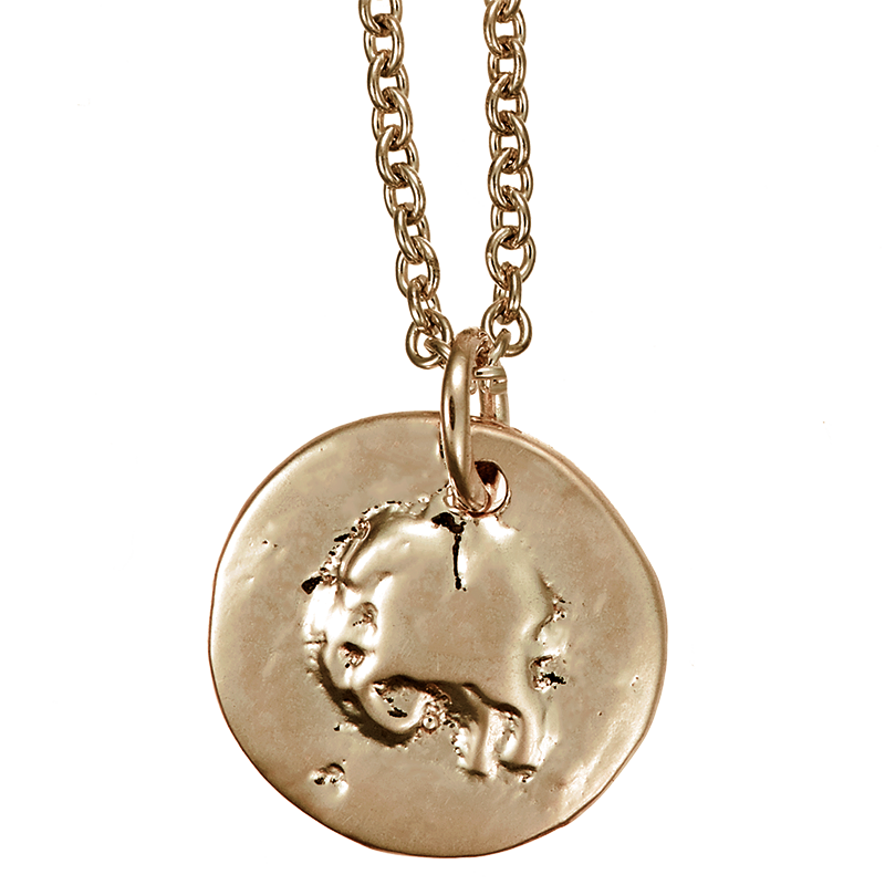 P-Coin6 41590-new-y_v2-r