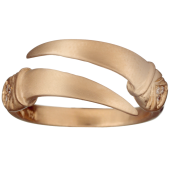 Warrior Double Ring