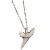 Sharks Tooth Pendant Small