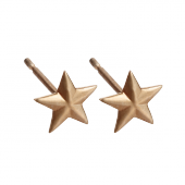 Star Studs Small