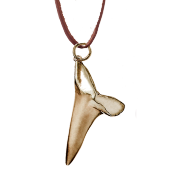 Sharks Tooth Pendant Big on Leather