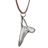 Sharks Tooth Pendant Big on Leather