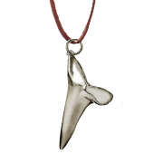 Sharks Tooth Pendant Big on Leather