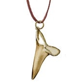 Sharks Tooth Pendant Big on Leather