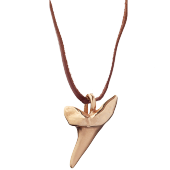 Sharks Tooth Pendant Small on Leather