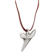Sharks Tooth Pendant Small on Leather