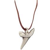 Sharks Tooth Pendant Small on Leather