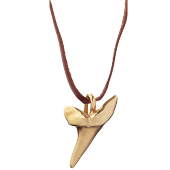 Sharks Tooth Pendant Small on Leather